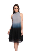 Load image into Gallery viewer, AGARDH Ombre Dress